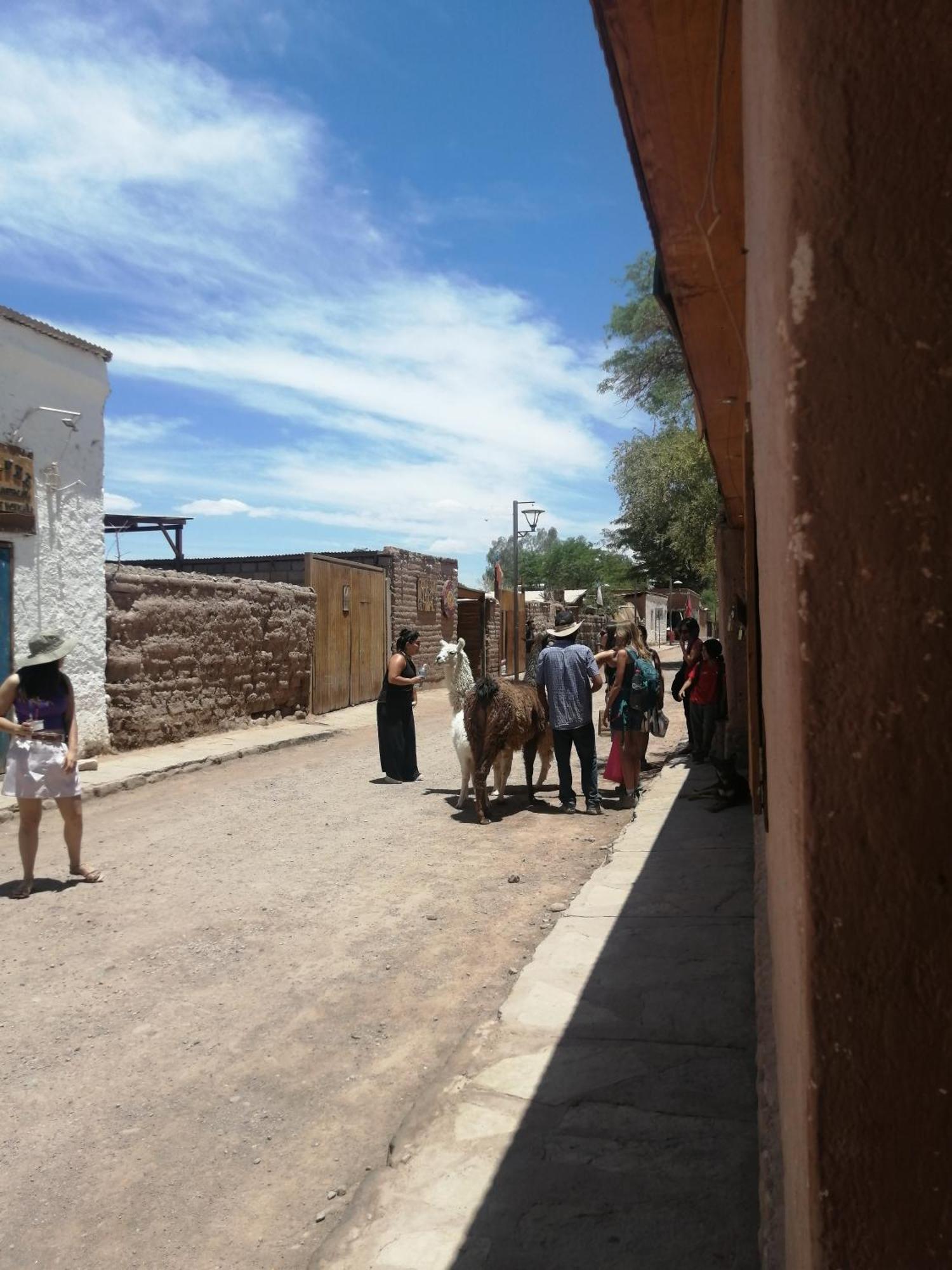 Apartament Viajes & Vida Km0 San Pedro De Atacama Zewnętrze zdjęcie